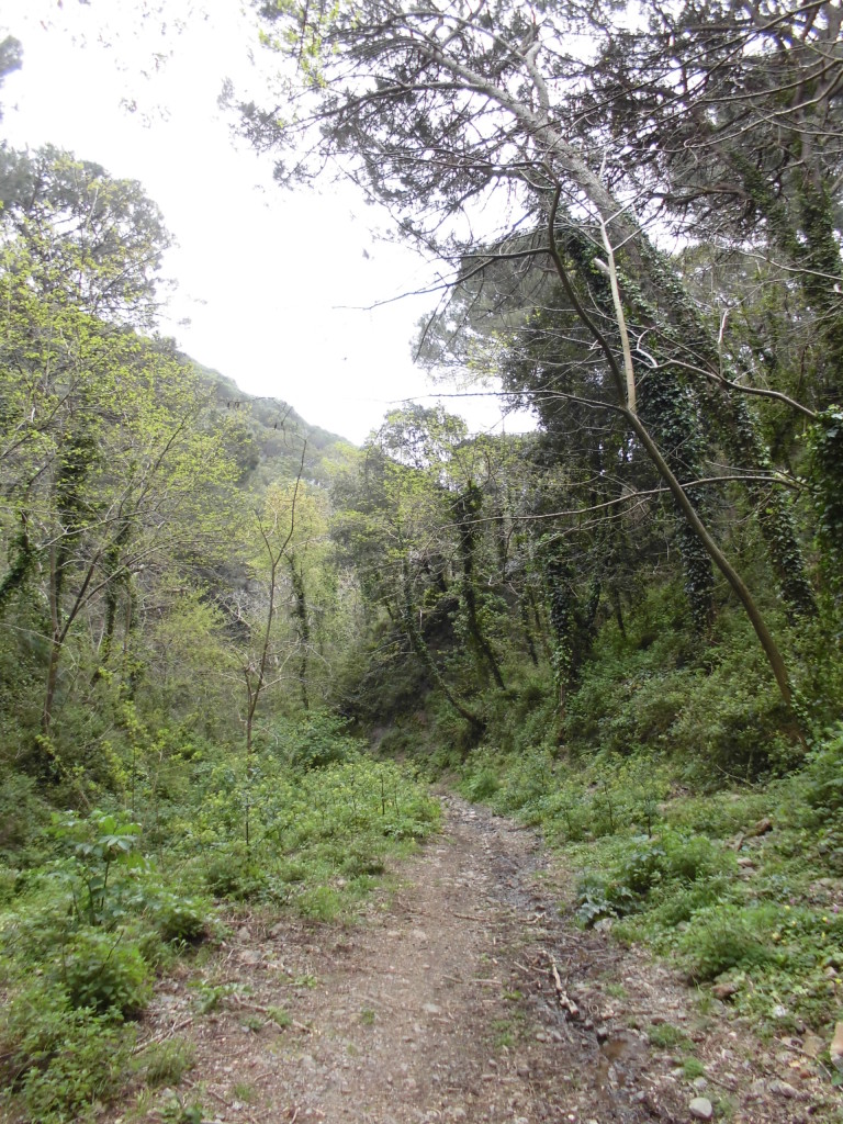 CIMG0875