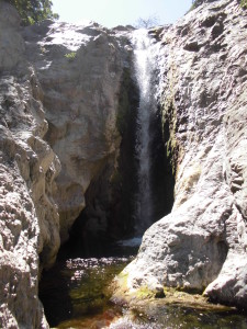 CIMG1258