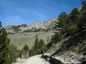 Monte Quicella