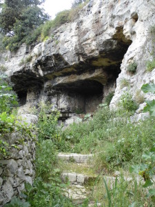 CIMG1839