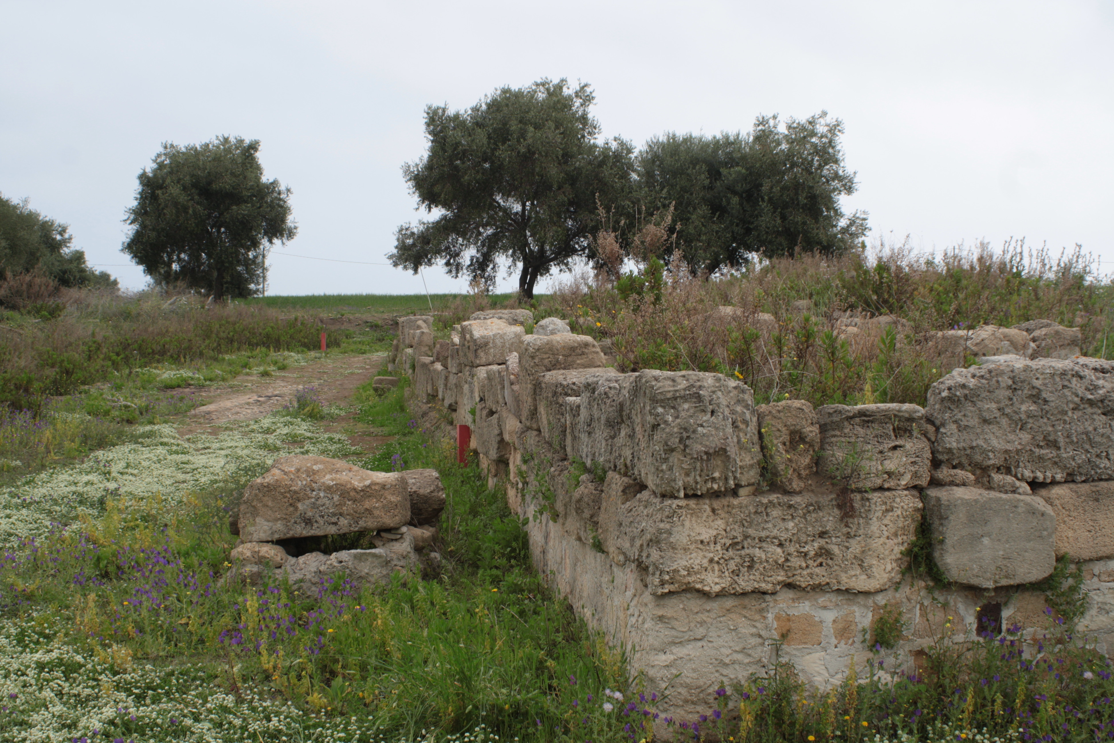 Pomeriggio a Megara Hyblaea: un interessante percorso siciliano