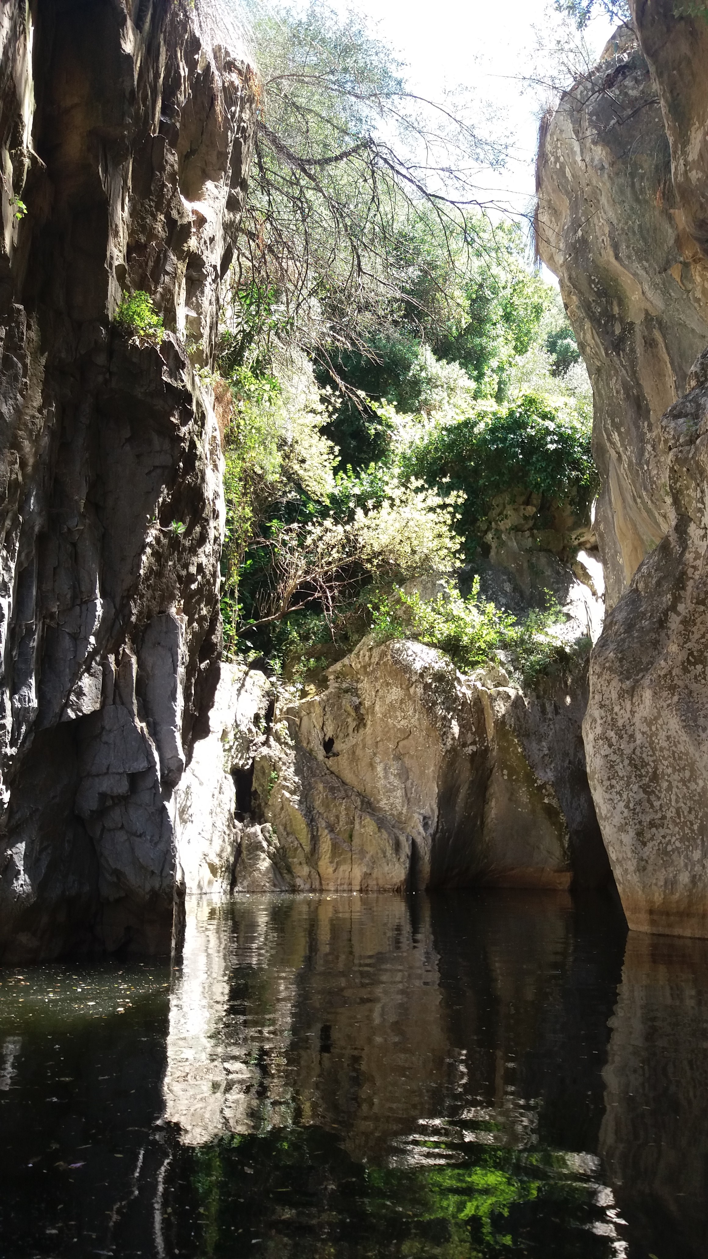 IMPERDIBILE PERCORSO ALLE GOLE DI TIBERIO MADONIE – DOMENICA 19 GIUGNO