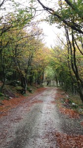 20161029_121219
